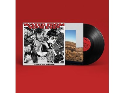 Water From Your Eyes - Everyone's Crushed (LP)
