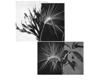 Andrew Pekler - New Environments & Rhythm Studies (LP)