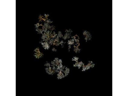 4142330 deathcrash return lp