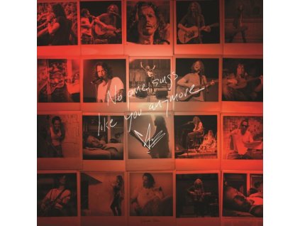 CHRIS CORNELL - No One Sings Like You Anymore (Picture Disc) (LP)