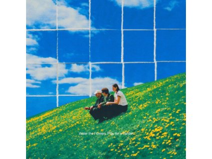 VALLEY - Water The Flowers / Pray For A Garden (Water Vinyl) (LP)