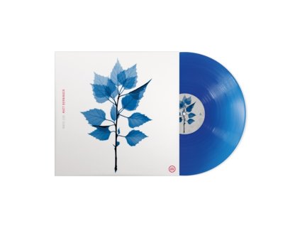 MATT BERNINGER - Get Sunk (Translucent Blue Vinyl) (Indies) (LP)