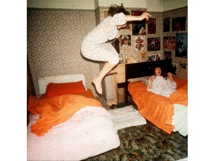 Home Is Where - I Became Birds (Limited Edition) (Guava Blend Vinyl) (LP)