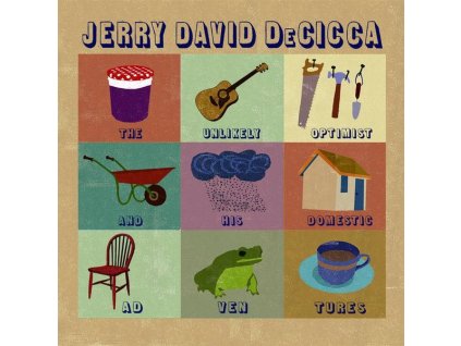 Jerry David DeCicca - The Unlikely Optimist And His Domestic Adventures (LP)