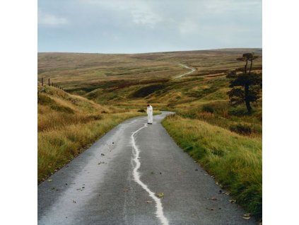 Jordan Rakei - The Loop (Limited Indie Edition) (Transparent Green Vinyl) (LP)