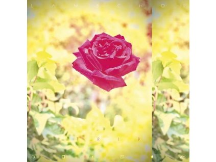 Lambchop - Trip (180g) (Limited Edition) (Sun-Yellow Vinyl) (LP)