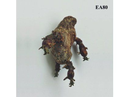 4144718 ea80 single lp