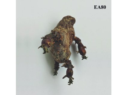 EA80 - Single (LP)