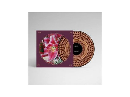 Richard Hawley - Coles Corner (20th Anniversary) (Limited Edition) (Zoetrope Picture Disc) (LP)