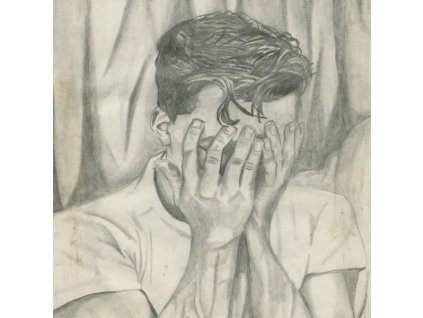 Damien Jurado - Sometimes You Hurt The Ones You Hate (LP)