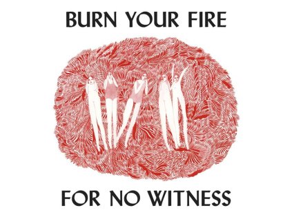 Angel Olsen - Burn Your Fire For No Witness (LP)