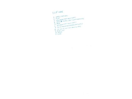 Mica Levi - Blue Alibi (LP)