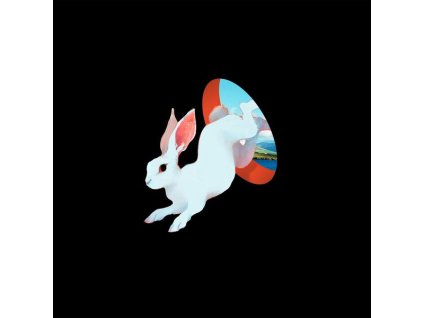 Ganser - Animal Hospital (Future Blue Vinyl) (LP)