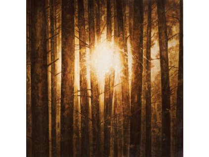 In Mourning - Echoes (Limited Edition) (LP)