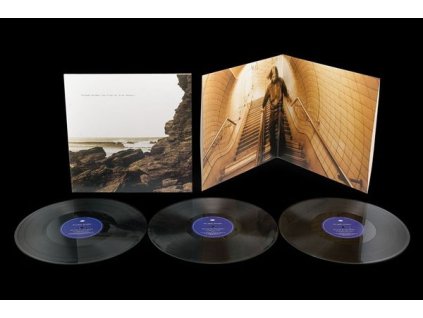 Polygon Window - Surfing On Sine Waves (Expanded Edition) (LP)