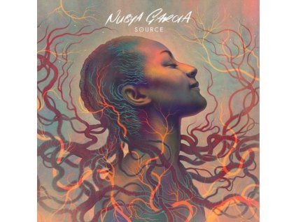 4158854 nubya garcia source lp