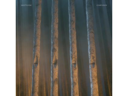4159604 skepticism companion lp