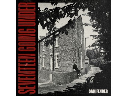 SAM FENDER - Seventeen Going Under (LP)