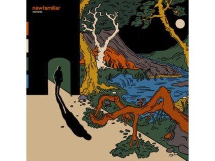 4159778 newfamiliar textures lp