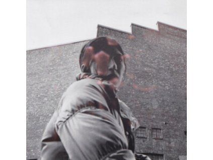4160084 aldous harding warm chris lp