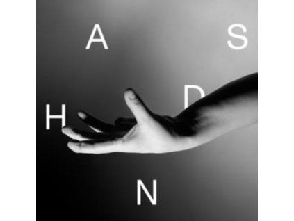 4160318 wallis bird hands lp