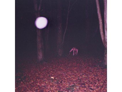 4162112 buzzard buzzard buzzard skinwalker lp