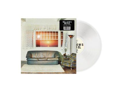 4162340 wallows model clear vinyl poster lp