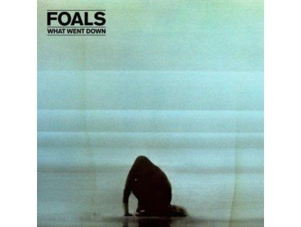 4164899 foals what went down lp