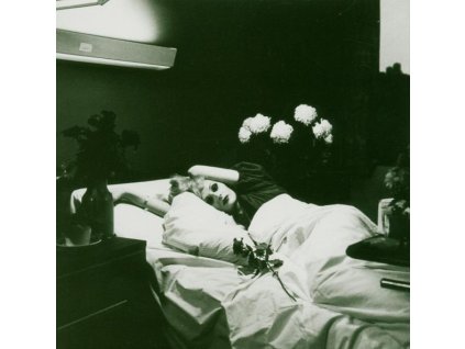 Antony & The Johnsons - I Am A Bird Now (LP)