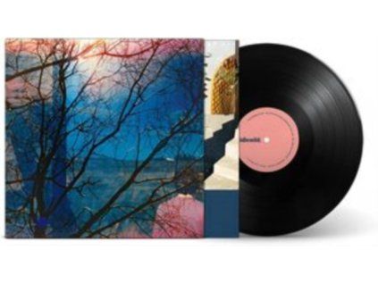 4167266 idlewild idlewild lp