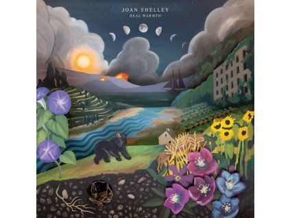 4167500 joan shelley real warmth lp