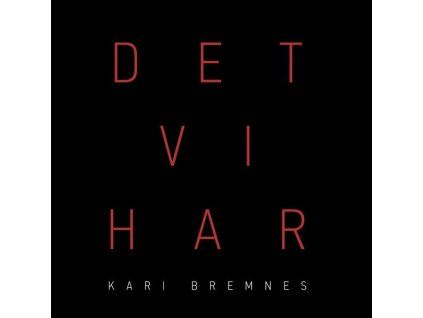 4167635 kari bremnes det vi har 180g lp
