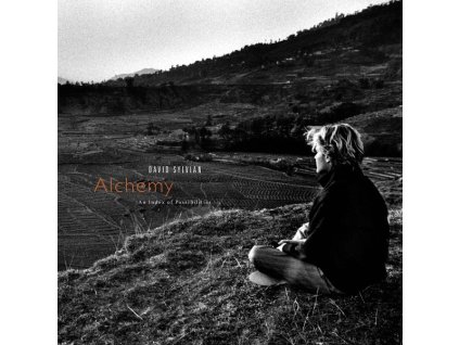 David Sylvian - Alchemy: An Index Of Possibilities (Gold Vinyl) (LP)
