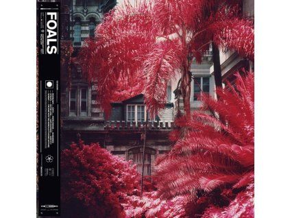 4168937 foals everything not saved will be lost part 1 lp