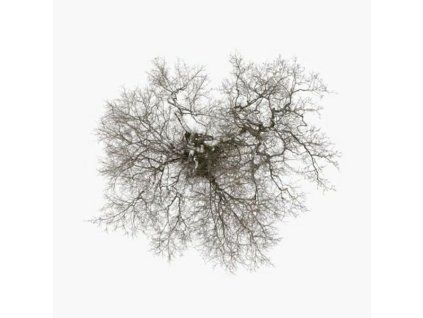 4170899 john metcalfe tree lp