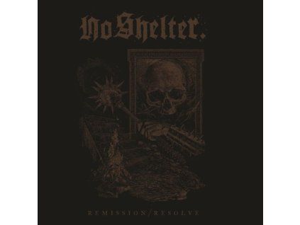 4171484 no shelter remission resolve lp