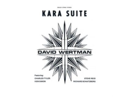 4172927 david wertman kara suite lp