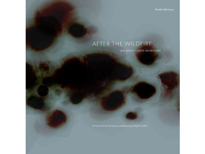 Jan Bang & Arve Henriksen - After The Wildfire (LP)