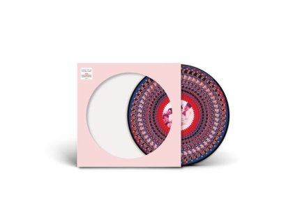 Take That - Everything Changes (30th Anniversary) (Zoetrope Picture Disc) (LP)