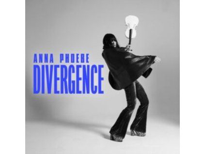4176116 anna phoebe divergence lp