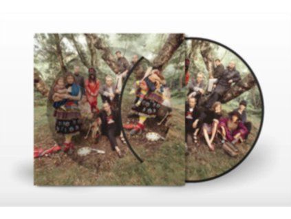 4176155 current 93 earth covers earth picture disc lp