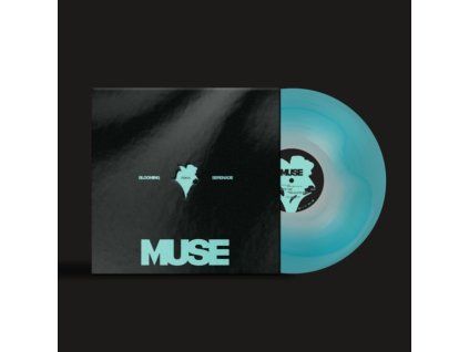 4178630 jimin muse lp