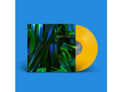 Anushka Chkheidze - Uncontrollable Thoughts (Yellow Vinyl) (LP)