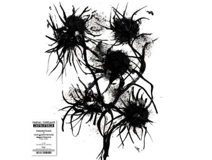 Pascal Comelade - Improperis (Compositions Et Enregistrements Magnétiques) (1984-2024) (Limited Numbered Edition) (LP)