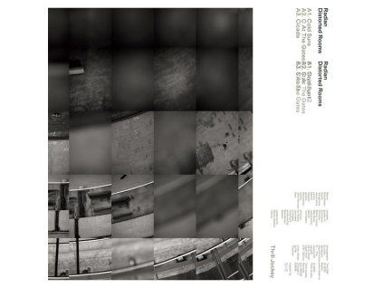 4186502 radian distorted rooms lp