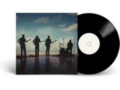 FEARLESS FLYERS - The Fearless Flyers V (LP)