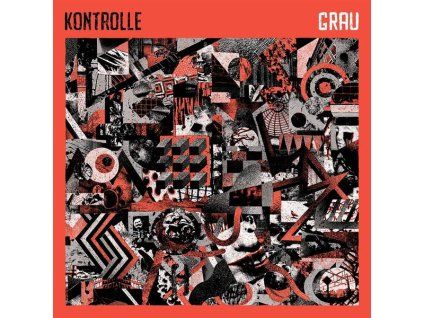 4191899 kontrolle grau lp