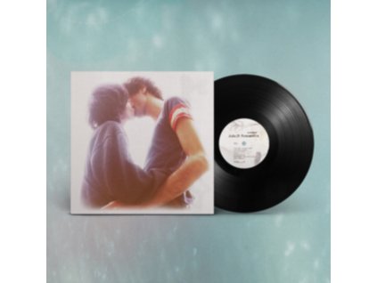 WINTER - Adult Romantix (LP)