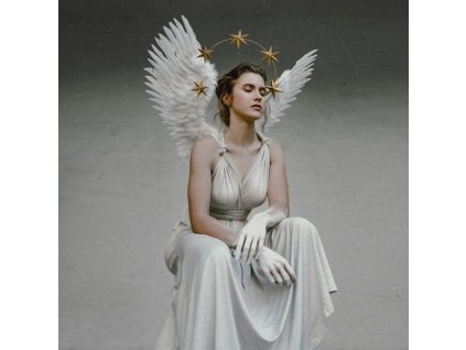 Fit For A King - The Path (LP)