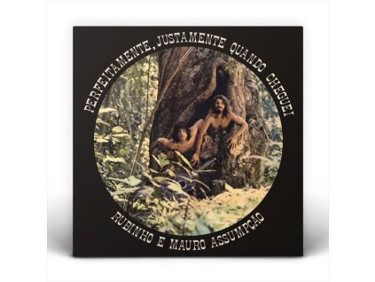 Rubinho & Mauro Assumpcao - Perfeitamente, Justamente Quando Cheguei (LP)